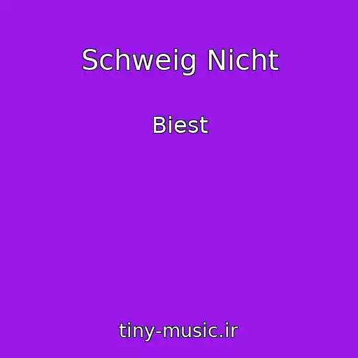 کاور آهنگ Schweig Nicht از Biest