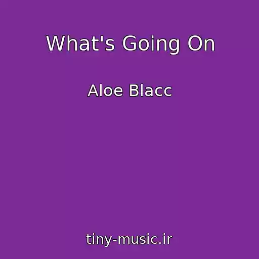 کاور آهنگ What's Going On از Aloe Blacc
