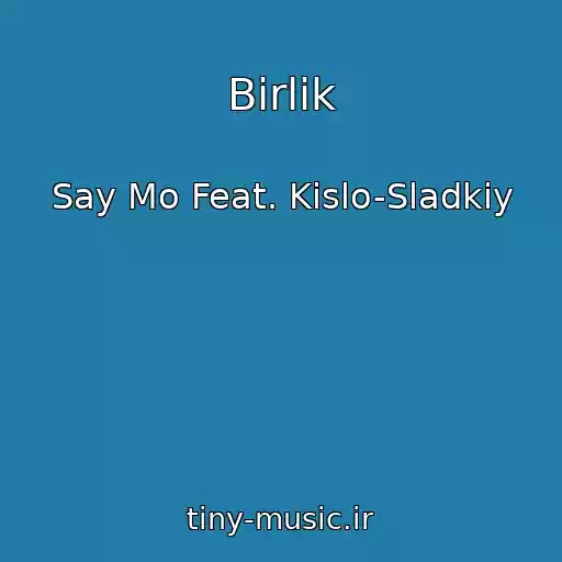 کاور آهنگ Birlik از Say Mo Feat. Kislo-Sladkiy