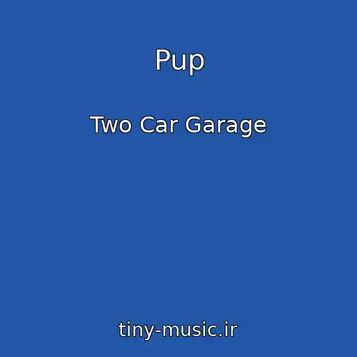 کاور آهنگ Pup از Two Car Garage