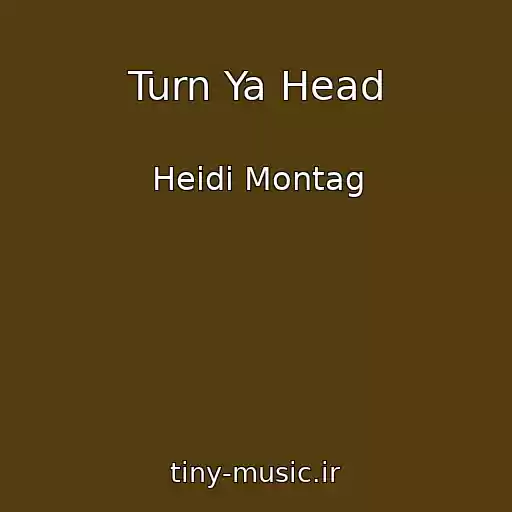 کاور آهنگ Turn Ya Head از Heidi Montag