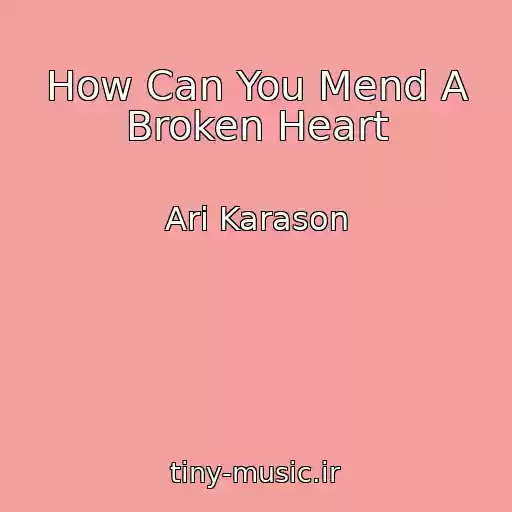 کاور آهنگ How Can You Mend A Broken Heart از Ari Karason