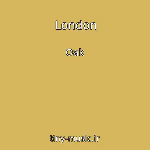 کاور آهنگ London از Oak