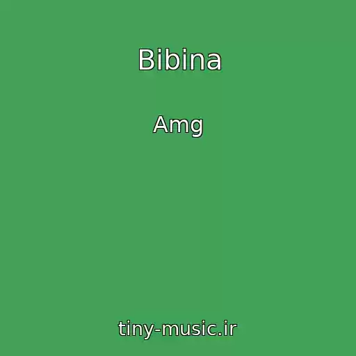 کاور آهنگ Bibina از Amg
