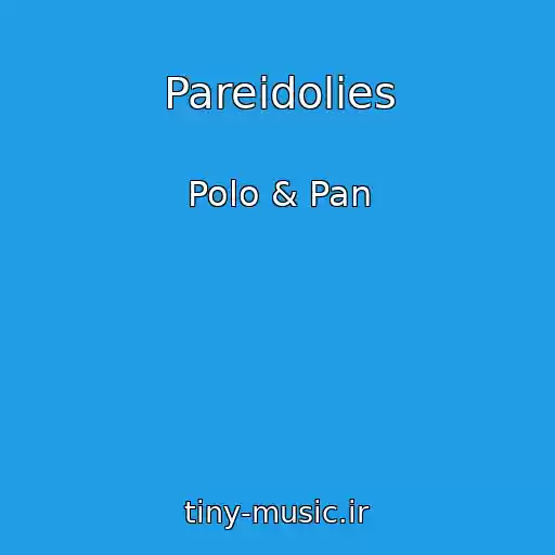 کاور آهنگ Pareidolies از Polo & Pan