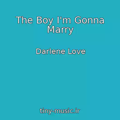 کاور آهنگ The Boy I'm Gonna Marry از Darlene Love