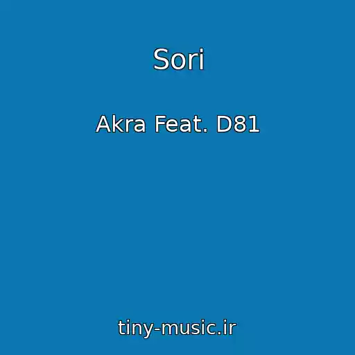 کاور آهنگ Sori از Akra Feat. D81