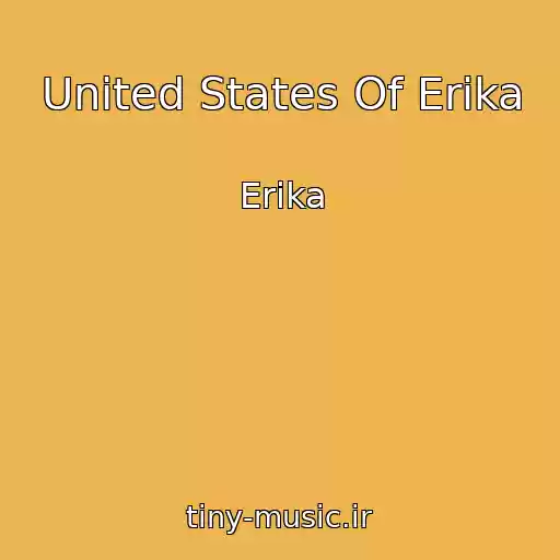 کاور آهنگ United States Of Erika از Erika