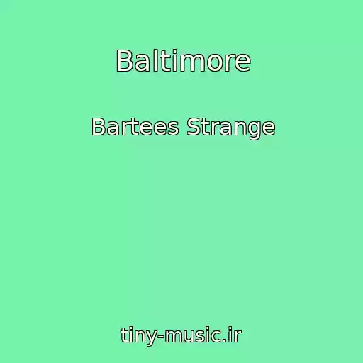 کاور آهنگ Baltimore از Bartees Strange
