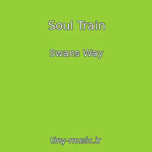 کاور آهنگ Soul Train از Swans Way