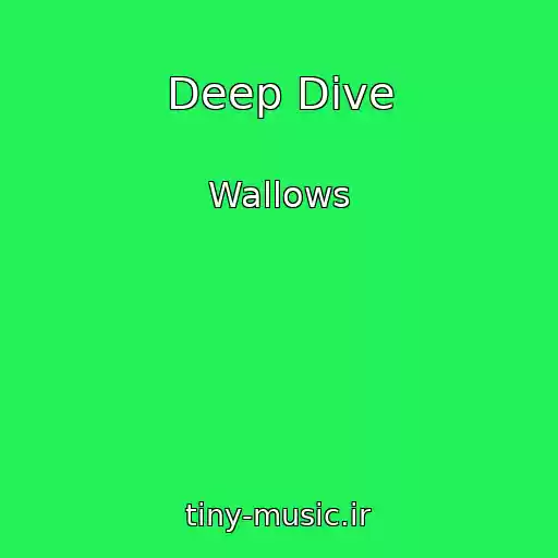 کاور آهنگ Deep Dive از Wallows