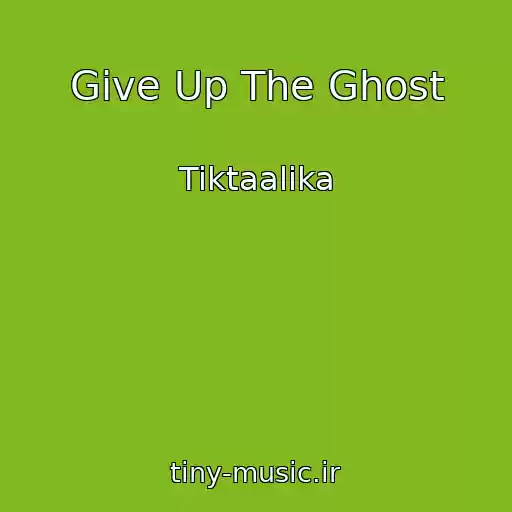 کاور آهنگ Give Up The Ghost از Tiktaalika