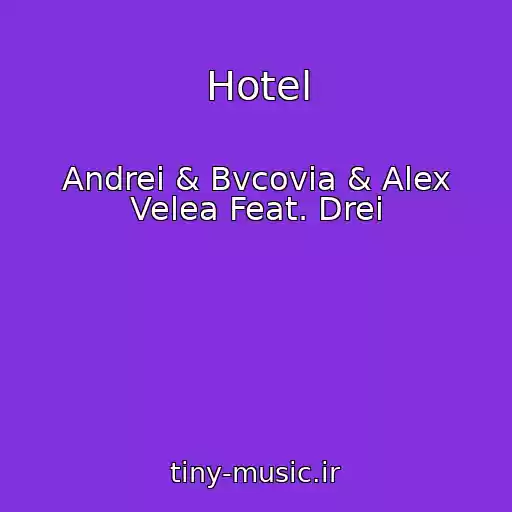 کاور آهنگ Hotel از Andrei & Bvcovia & Alex Velea Feat. Drei