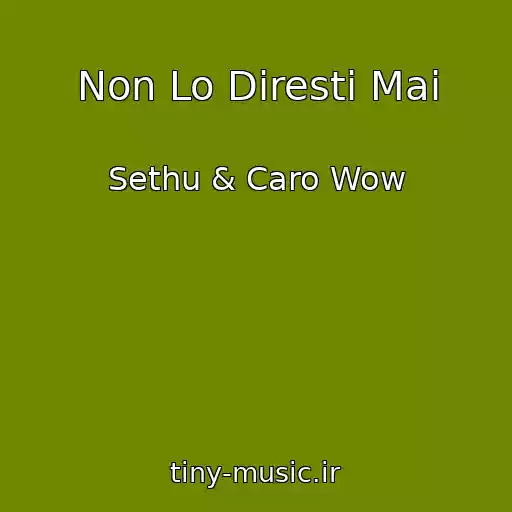 کاور آهنگ Non Lo Diresti Mai از Sethu & Caro Wow