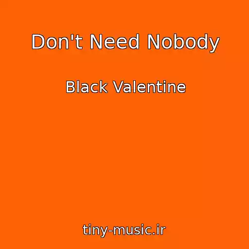 کاور آهنگ Don't Need Nobody از Black Valentine