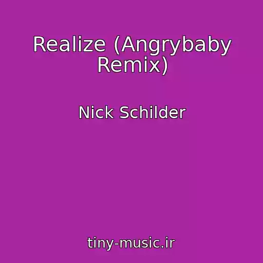 کاور آهنگ Realize (Angrybaby Remix) از Nick Schilder