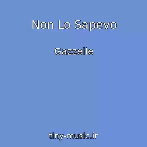 کاور آهنگ Non Lo Sapevo از Gazzelle