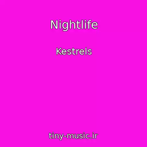 کاور آهنگ Nightlife از Kestrels