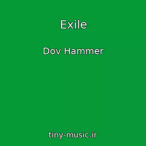 کاور آهنگ Exile از Dov Hammer