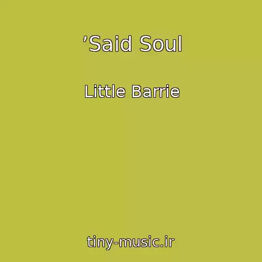 کاور آهنگ ’Said Soul از Little Barrie