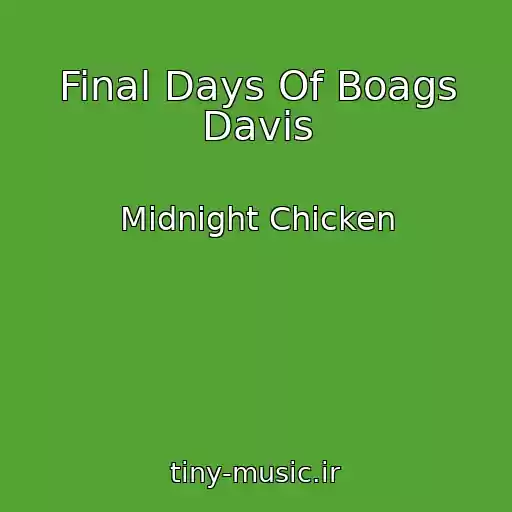 کاور آهنگ Final Days Of Boags Davis از Midnight Chicken