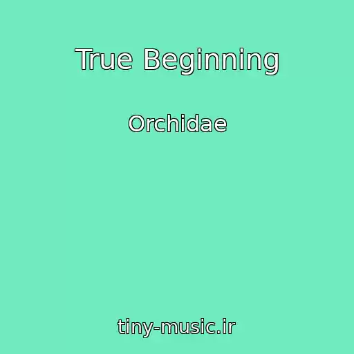 کاور آهنگ True Beginning از Orchidae