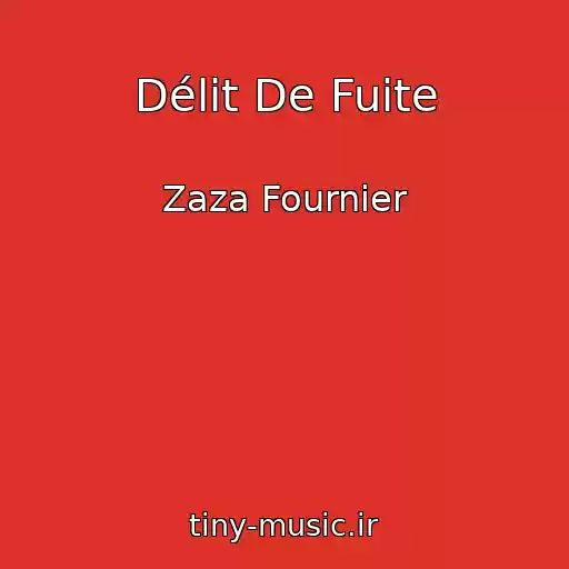 کاور آهنگ Délit De Fuite از Zaza Fournier