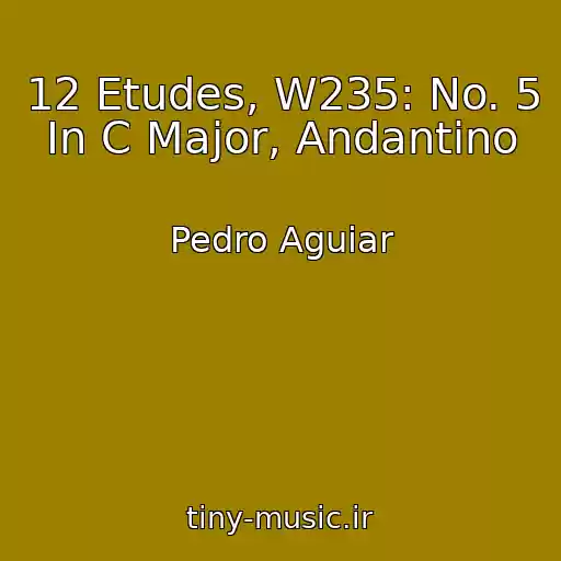 کاور آهنگ 12 Etudes, W235: No. 5 In C Major, Andantino از Pedro Aguiar