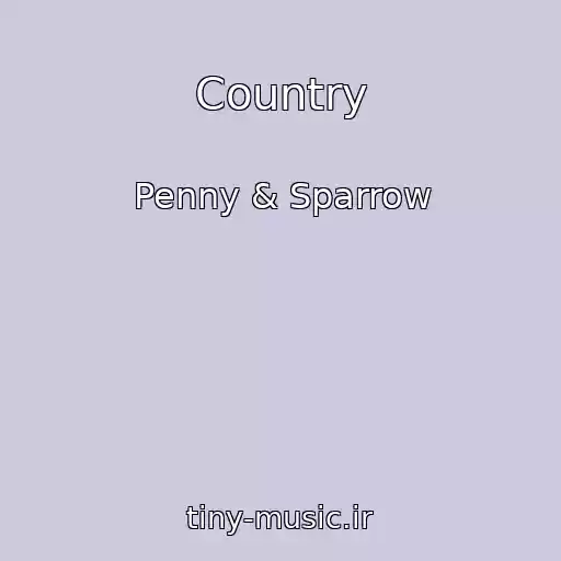 کاور آهنگ Country از Penny & Sparrow