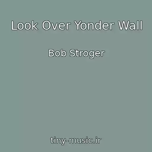 کاور آهنگ Look Over Yonder Wall از Bob Stroger