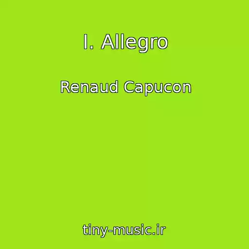 کاور آهنگ I. Allegro از Renaud Capucon