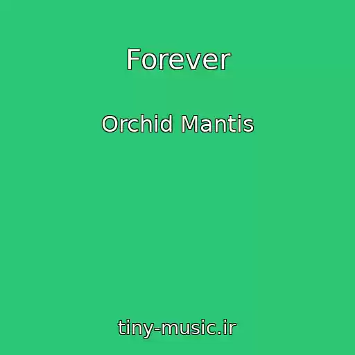 کاور آهنگ Forever از Orchid Mantis
