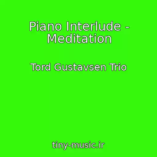 کاور آهنگ Piano Interlude - Meditation از Tord Gustavsen Trio