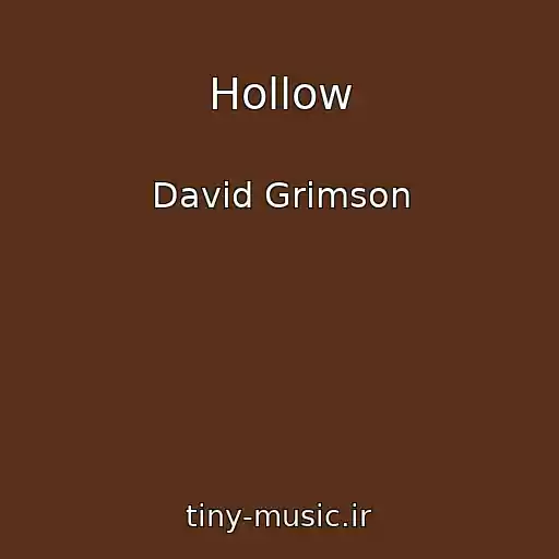 کاور آهنگ Hollow از David Grimson