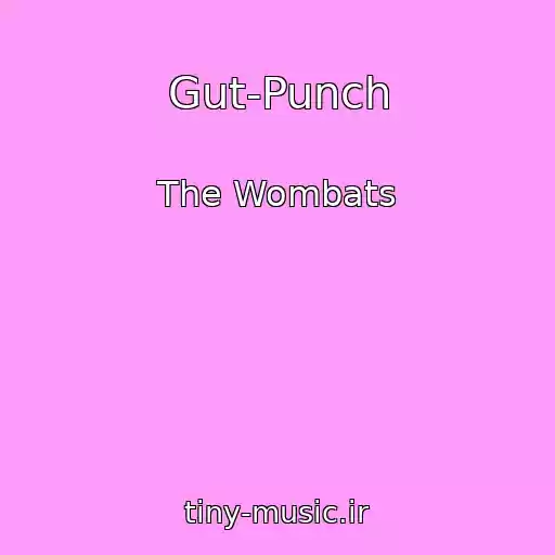 کاور آهنگ Gut-Punch از The Wombats