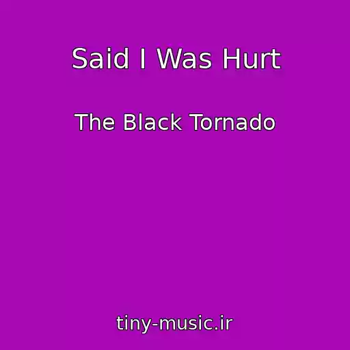 کاور آهنگ Said I Was Hurt از The Black Tornado