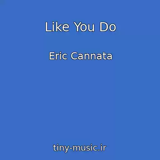 کاور آهنگ Like You Do از Eric Cannata