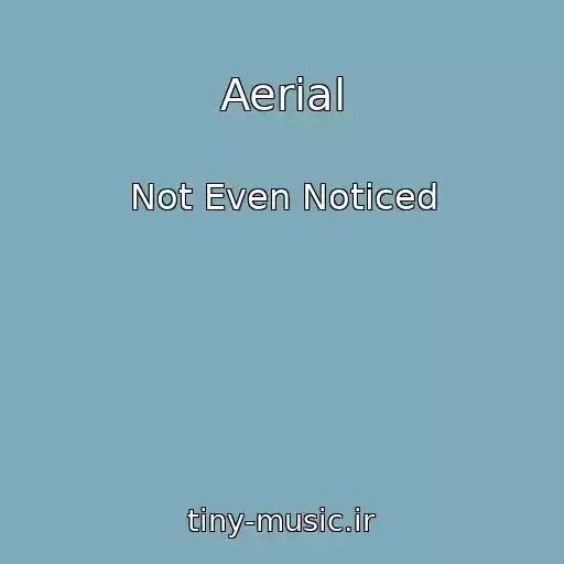 کاور آهنگ Aerial از Not Even Noticed
