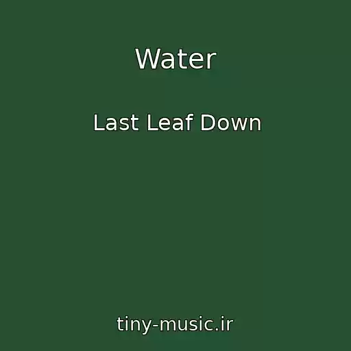کاور آهنگ Water از Last Leaf Down