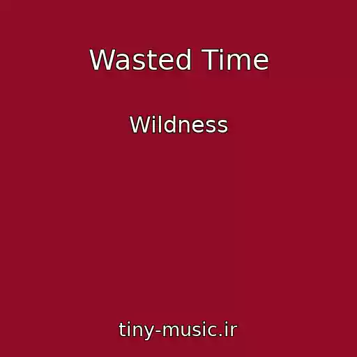 کاور آهنگ Wasted Time از Wildness