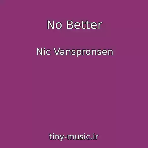 کاور آهنگ No Better از Nic Vanspronsen