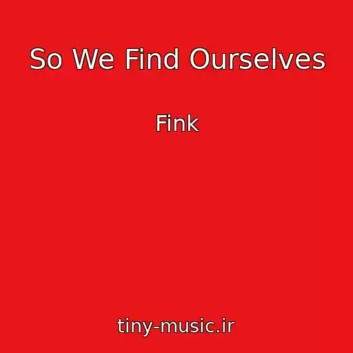 کاور آهنگ So We Find Ourselves از Fink