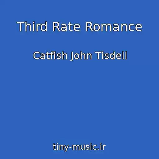 کاور آهنگ Third Rate Romance از Catfish John Tisdell