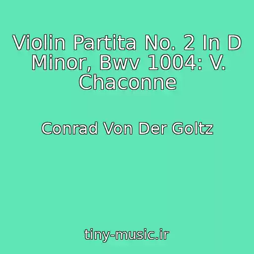 کاور آهنگ Violin Partita No. 2 In D Minor, Bwv 1004: V. Chaconne از Conrad Von Der Goltz