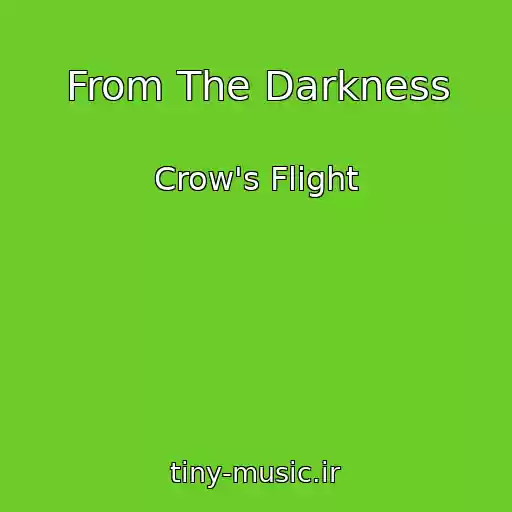 کاور آهنگ From The Darkness از Crow's Flight
