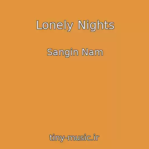 کاور آهنگ Lonely Nights از Sangin Nam