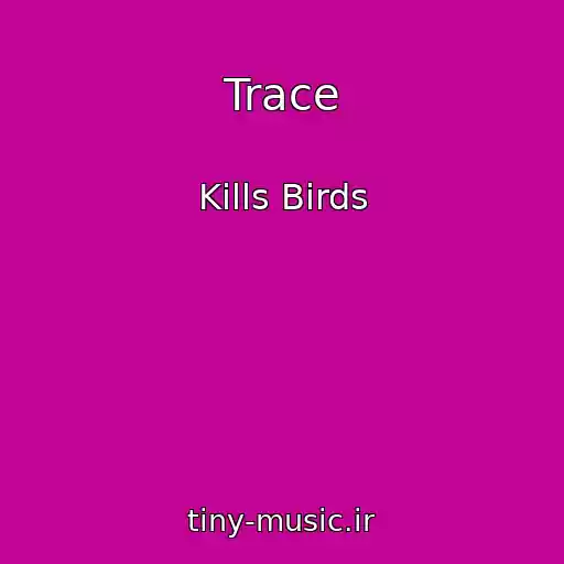 کاور آهنگ Trace از Kills Birds