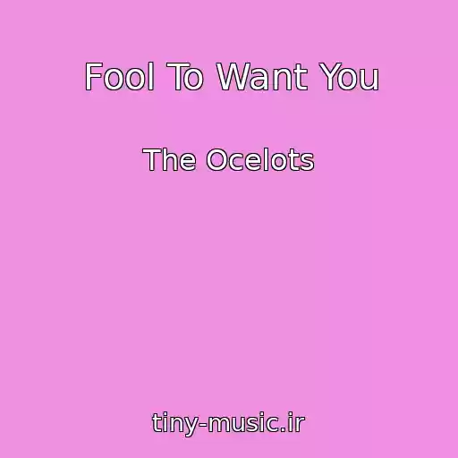 کاور آهنگ Fool To Want You از The Ocelots
