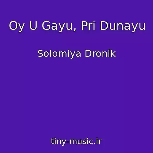 کاور آهنگ Oy U Gayu, Pri Dunayu از Solomіya Dronik