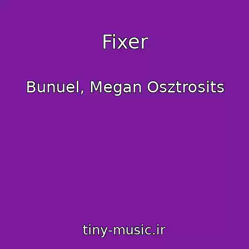 کاور آهنگ Fixer از Bunuel, Megan Osztrosits